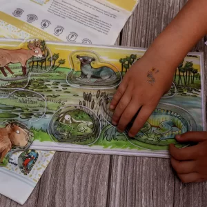 Encuentra su Formita