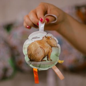 "juguetes didácticos de tela sustentables - juegos para la familia - animales argentinos - tarjetas educativas - juguetes blandos primera - para jugar en el agua"