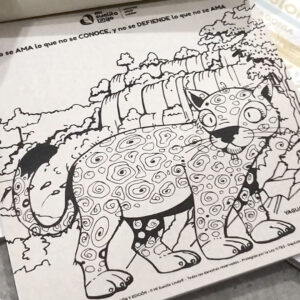 Block para colorear