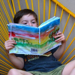 "libros de tela - cuentos infantiles - juguetes didácticos de tela sustentables - juegos para la familia - animales argentinos - juguetes para el agua - tarjetas educativas"