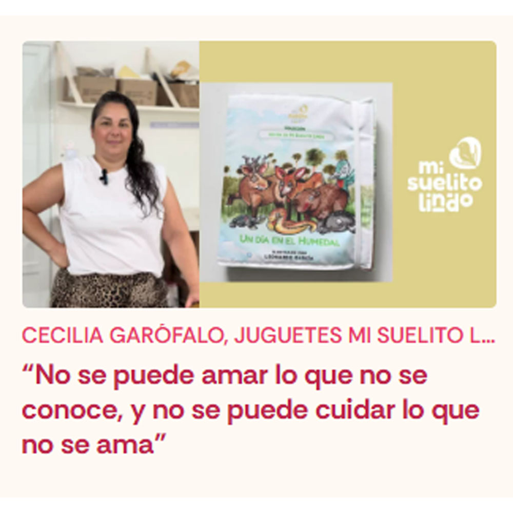 "juguetes educativos sustentables"